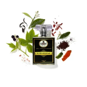 Creed Silver Mountain Water