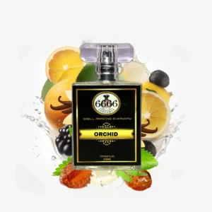 Tom Ford Black Orchid