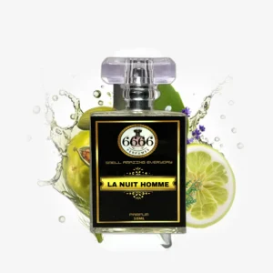 YSL La Nuit de l'Homme