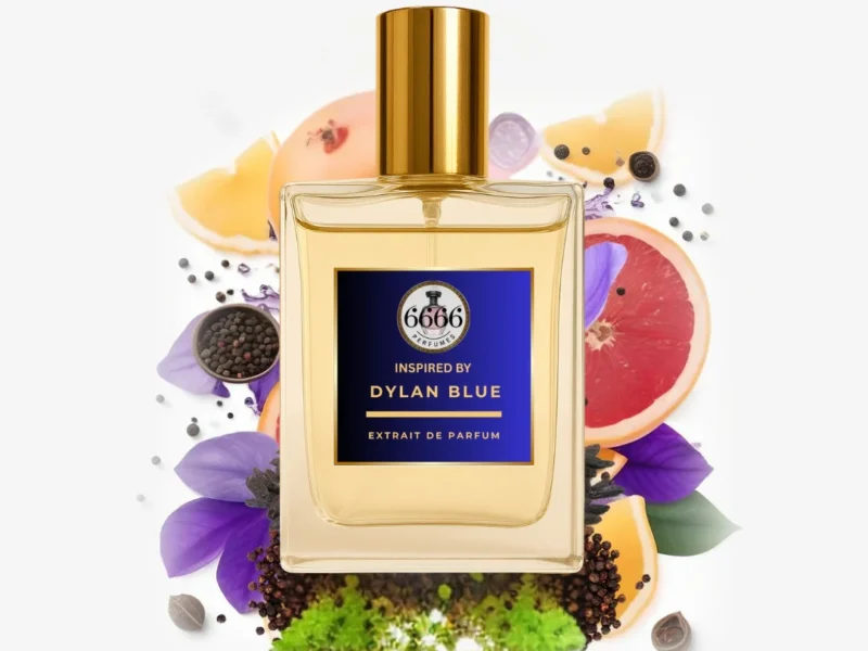Dylan Blue Inspired Perfume India – Long Lasting Fresh Aromatic Extrait by 6666 Perfumes