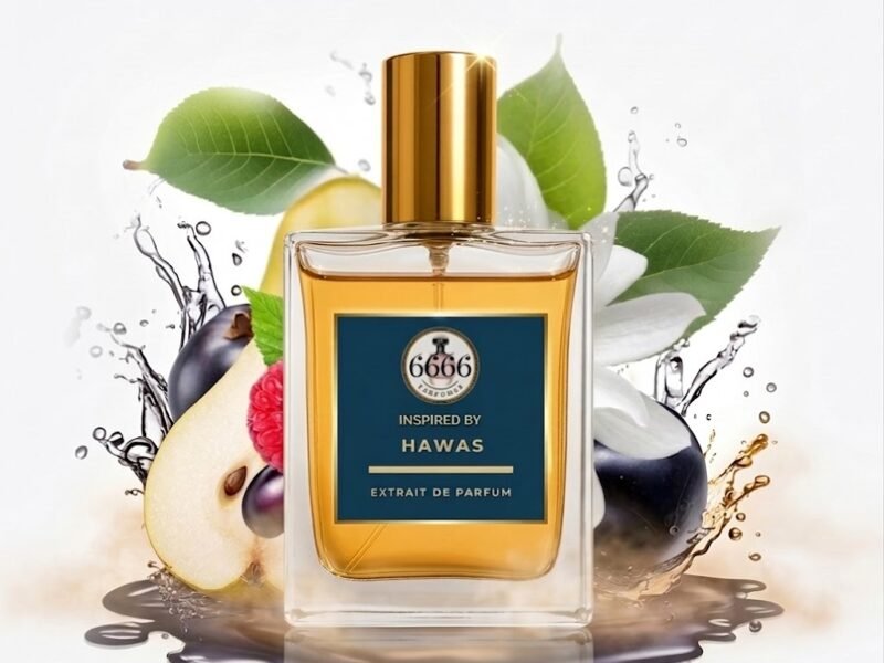 Rasasi Hawas inspired perfume by 6666perfumes featuring apple, cinnamon, aquatic notes and ambergris in high concentration extrait formula.
