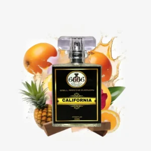 Inspired By California Dream(Louis Vuitton)