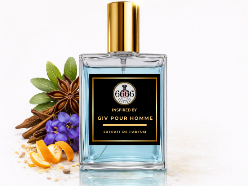 Givenchy Pour Homme inspired perfume by 6666perfumes fresh citrus aromatic mens fragrance with mandarin violet cedar notes