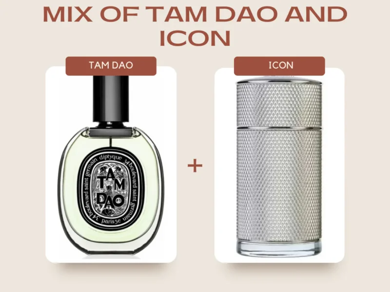 Tam Dao Icon Mix