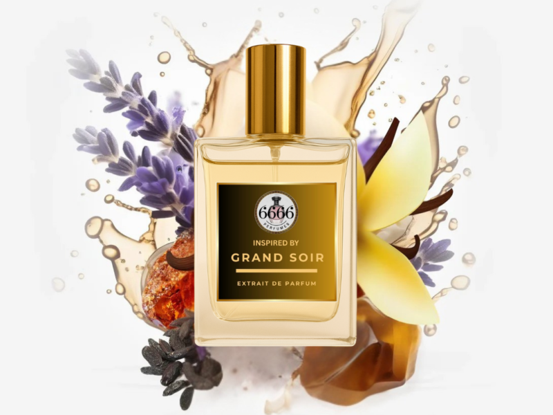 Grand Soir By MFK