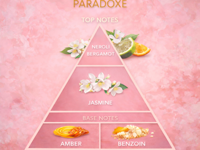 scent pyramid showing neroli jasmine orange blossom vanilla amber musk prada paradoxe inspired