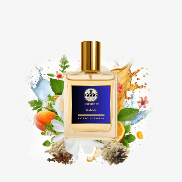 Bleu de Chanel inspired perfume by 6666 Perfumes in Extrait de Parfum concentration featuring fresh citrus woody aromatic notes similar to Bleu de Chanel